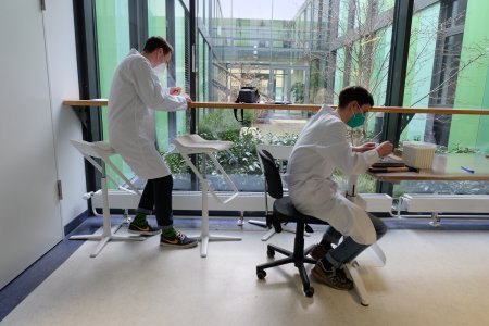 preparartion Seed preparartion