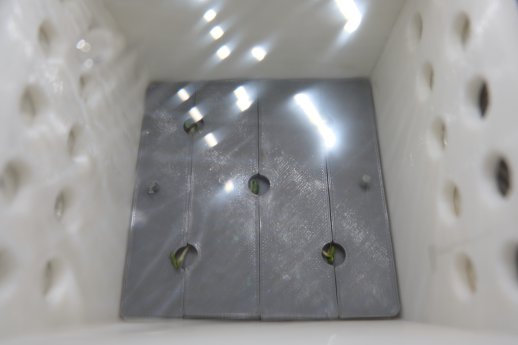 DSCF4449 Top view of the sealed environment