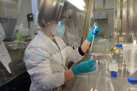 sterilization Seed sterilization