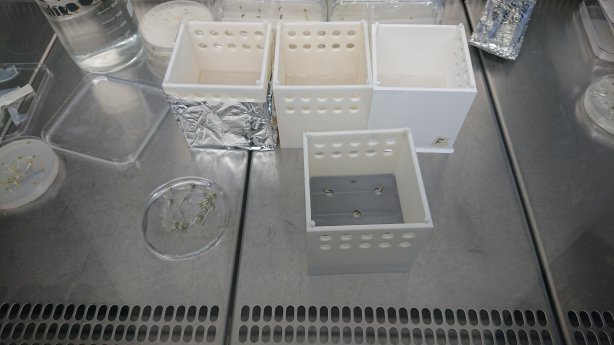 DSC_0178 Assembly of the boxes