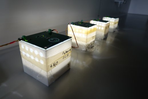 DSCF4450 Glow in the dark