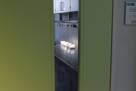 DSCF4456 A view into our laboratory