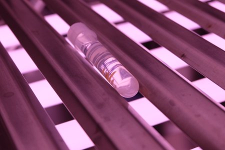 hydration Seed hydration